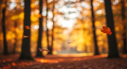 Blurred autumn forest with golden and red leaves, soft cozy ambiance