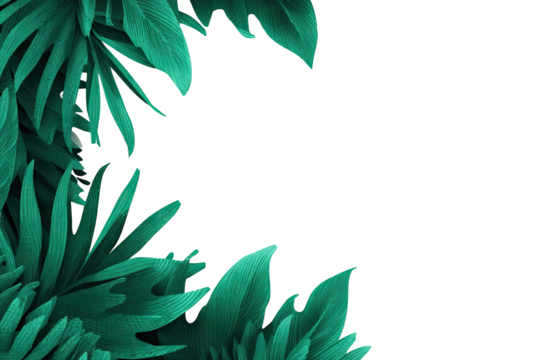 Teal tropical leaves frame a black background