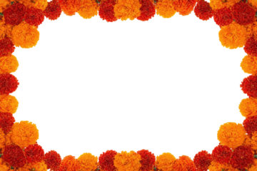 Floral frame of orange and red marigold flowers on black background