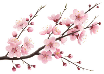 Beautiful cherry blossom branch with pink flowers isolated on transparent background is a perfect design element for spring and wedding