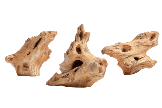 Three driftwood pieces, light beige/tan color, irregular shapes, hollowed-out spaces