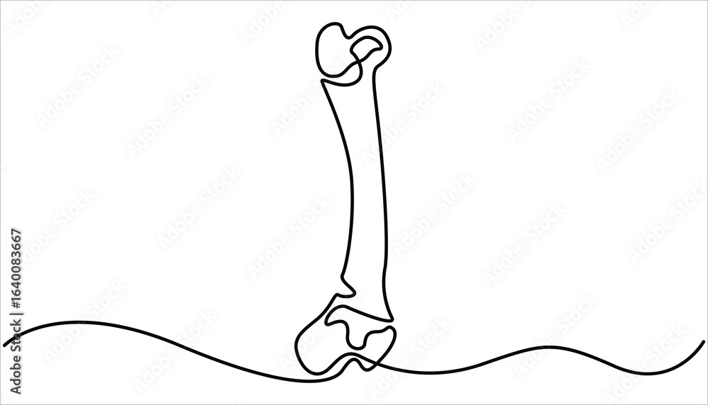 Poster bone single line art, continuous one line drawing of isolated outline vector art, continuous one lin