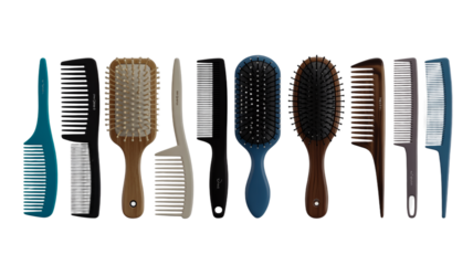 Assortment of Ten Hair Brushes and Combs in a Row on White Background hair care styling