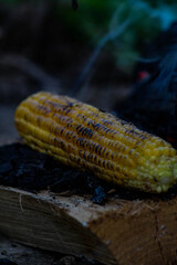 Summer evenings with company and homemade roasted corn.