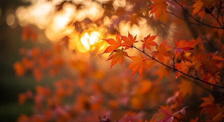 Blurred autumn foliage in warm reds and oranges, cozy feel