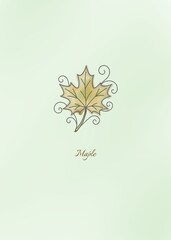 Maple leaf illustration watercolor style on light green background