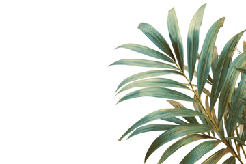 Close-up of tropical palm fronds