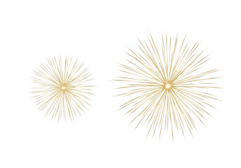 Two golden fireworks bursting in the night sky