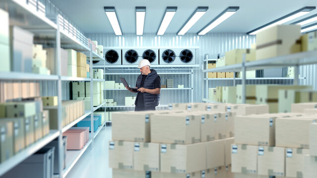 Male worker with laptop checks inventory in climate-controlled cold storage room filled with boxes and shelves. Refrigerated Storage. Logistics. Cold Chain. Inventory Management.