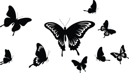 Butterfly silhouette set with detailed wings in various flight positions, black insect vector icons, isolated on white background for design