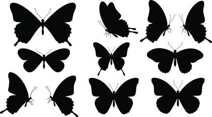 Set of butterfly silhouettes in various shapes and wing positions, insect vector icons, black silhouettes, isolated on white background