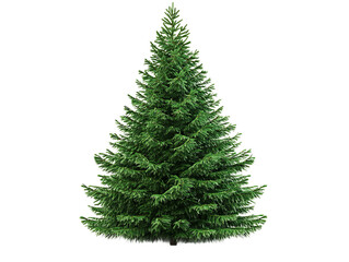 Fototapeta premium Realistic christmas tree isolated on transparent background