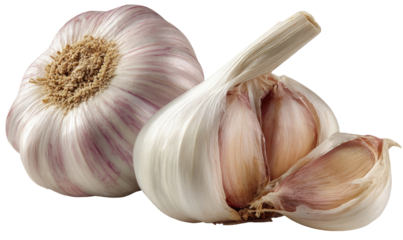Close-up of a whole and halved bulb of garlic