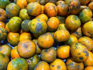 fresh oranges fruit