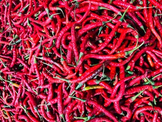 Fototapeta premium red hot chili peppers