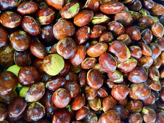close-up of fresh jengkol