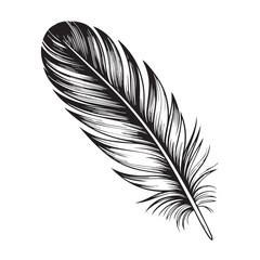 Obraz premium hand drawn feather illustration for decorative prints t shirt design logo graphic or poster artwork