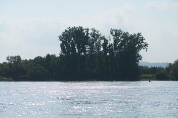 Tree in the water, Bäume am Ufer eines Flusses 