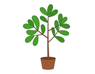 Cartoon potted plant