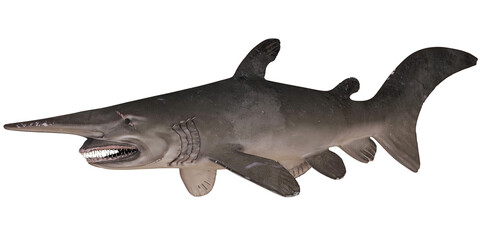 Realistic paddlefish model against white background