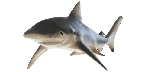 Obraz premium Realistic 3D rendering of a shark in motion.