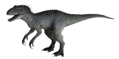 Fototapeta premium Fierce carnivorous dinosaur on white background.