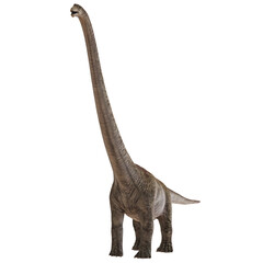 Fototapeta premium Majestic brachiosaurus standing tall with long neck