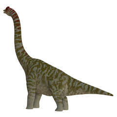 Majestic sauropod dinosaur illustration. © Ilie