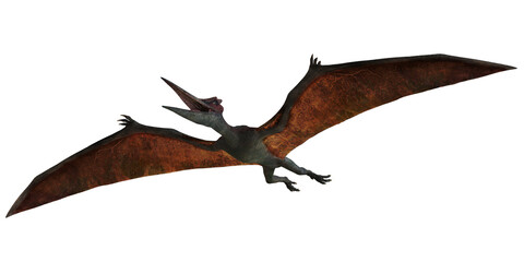 Flying Pterodactyl in the ancient sky © Ilie