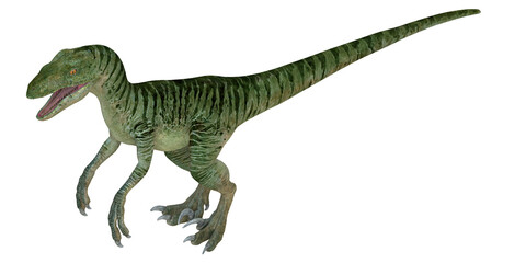 3D rendering of a Velociraptor dinosaur.