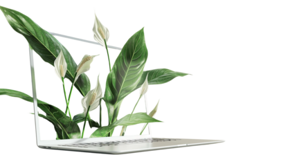 Green houseplants emerging from laptop. laptop with plants, green technology concept, eco-friendly computing, nature and technology fusion,  Isolated on transparent background, png.	