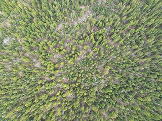 adventure, aerial, aerial landscape, aerial view, america, background, backpacking, beautiful, bend, biking, camping, cascade lakes highway, cascade lakes scenic byway, cascade mountains, central oreg