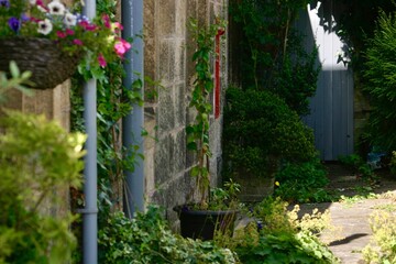 Charming stone garden path at front of a cottage, lined with vibrant flowers and a red letter box in the wall, leading to a secluded wooden gate. Sunlight filters through foliage, casting a shadow,