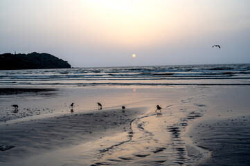 Wet sand textures and lines at Miramar Beach, Goa, with five crows in foreground, a bird flying, gentle waves, backlit cliffs, and yellow-orange gradient sunset sky.