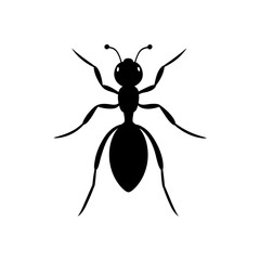 Silhouette of an ant on transparent background