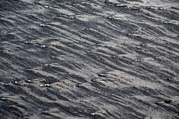 Close-up of sand textures on Panjim Beach, Goa, featuring brown sand patterns with scattered white shells.