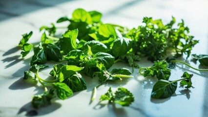 Fototapeta premium Scattered fresh green leaves of mint and parsley on a light marble surface under bright light. Concept of fresh herbs, cooking ingredients, and healthy eating.