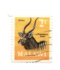 A vintage postage stamp from Malawi isolated on a white background.