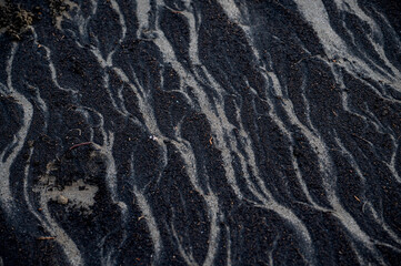 Surreal tree-root-like patterns formed on dark brown-black sand at Caranzalem Beach, Goa, after monsoon rains, creating unique abstract textures.