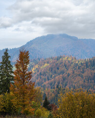 Cloudy and foggy day autumn mountains scene. Peaceful picturesque traveling, seasonal, nature and countryside beauty concept scene. Carpathian Mountains, Ukraine.