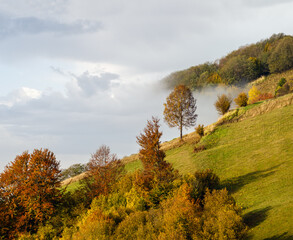 Fototapeta premium Morning foggy clouds in autumn mountain countryside. Ukraine, Carpathian Mountains, Transcarpathia.