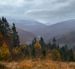 Cloudy and foggy early morning autumn mountains scene. Peaceful picturesque traveling, seasonal, nature and countryside beauty concept scene. Carpathian Mountains, Ukraine.