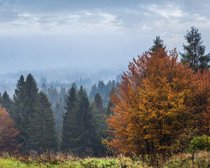 Cloudy and foggy autumn mountains scene. Peaceful picturesque traveling, seasonal, nature and countryside beauty concept scene. Carpathian Mountains, Ukraine.