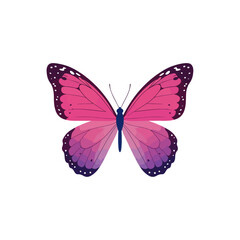 Obraz premium Beautiful butterfly. Watercolor illustration. Colorful Butterflies clipart set. Pink blue butterfly. Baby shower design elements. Party invitation, birthday celebration. Spring or summer decoration