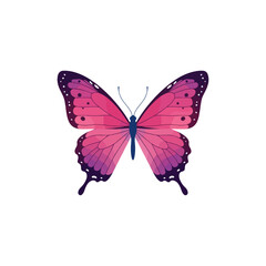 Obraz premium Beautiful butterfly. Watercolor illustration. Colorful Butterflies clipart set. Pink blue butterfly. Baby shower design elements. Party invitation, birthday celebration. Spring or summer decoration