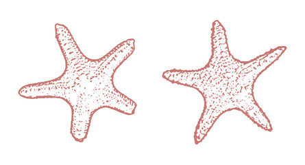 Minimalist Line Art Illustration of Sea Stars