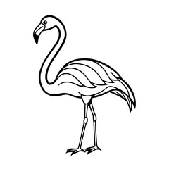 Flamingo on a white background. vector illustration of flamingo.