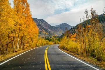 Selbstklebende Fototapeten Grau Scenic autumn landscape on South Lake Road near Bishop, California, with golden fall foliage lining the curved mountain road under a dramatic sky.  © Damon