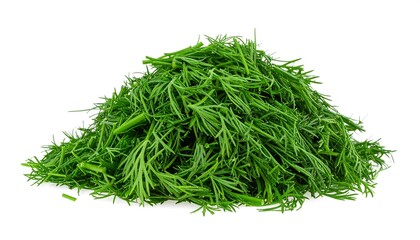 Fresh dill pile isolated background