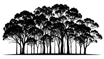 Silhouettes of numerous trees in a dense forest.